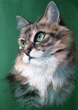 Yeşil gözlü güzel bir kedi. Yeşil arka planda pastel boya ile yapılmış bir portre..