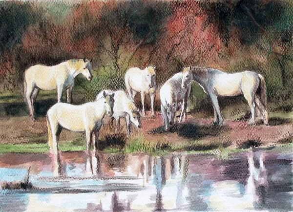 Akvarell Flock Vita Hästar Över Vatten — Stockfoto