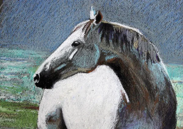 Portrait Cheval Blanc Dans Une Prairie Peinture Faite Avec Des — Photo