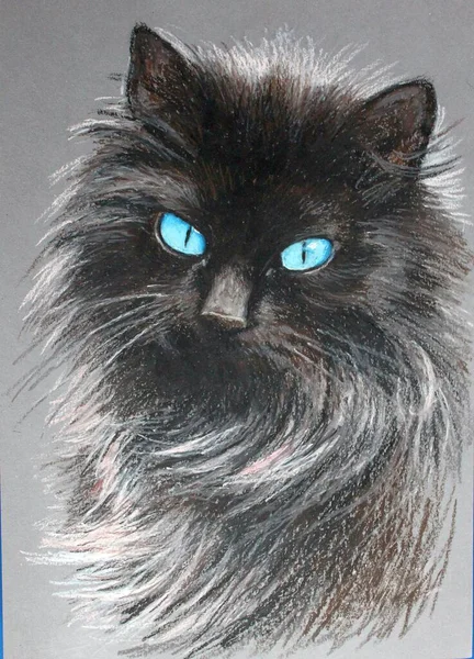 Güzel, uzun saçlı, mavi gözlü siyah bir kedinin portresi. Pastel çizim.