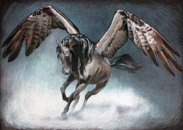Vacker Och Majestätisk Svart Pegasus Breder Sina Vingar För Start — Stockfoto