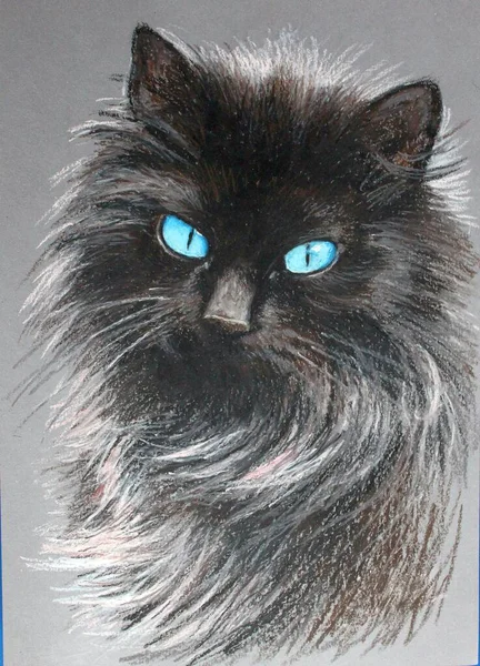 Retrato Hermoso Gato Negro Pelo Largo Con Ojos Azules Dibujo Imágenes de stock libres de derechos