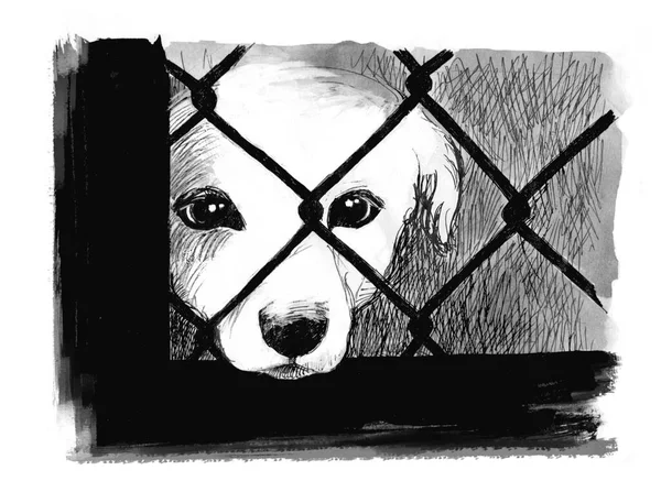Dog Shelter Black White Handmade Illustration White Dog Sadly Looking — Fotografia de Stock