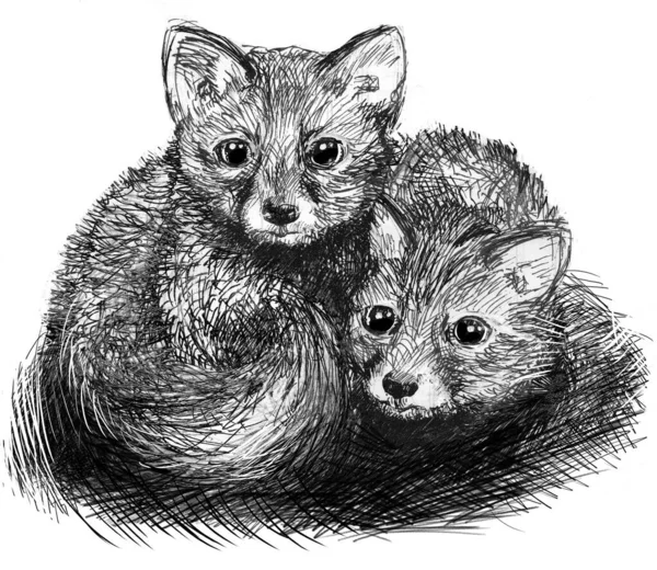Two cute little foxes cuddled together. Black and white pen drawing. Illustration made by hand. White background.
