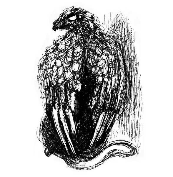 传说中的半狮子半鹰的动物 用羽毛做的黑白表达图 — 图库照片