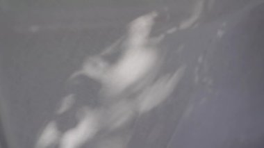 Ağaçların gölgeleri sallanan pamuğun üzerinde dans ediyor şeffaf beyaz tül