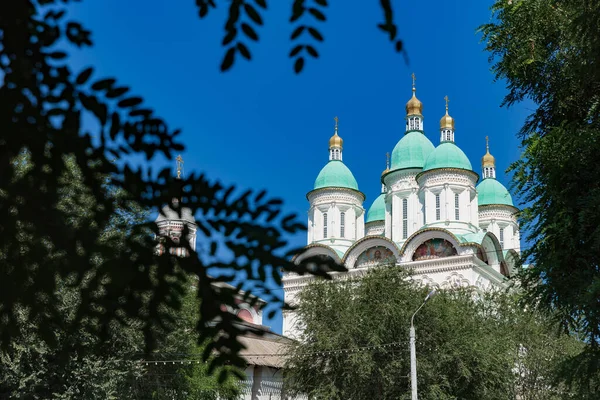 Cupole verde-blu della Cattedrale di Astrakhan Cremlino attraverso rami di acacia Immagine Stock
