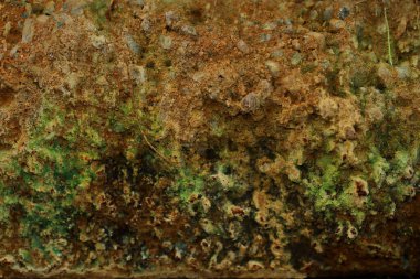 Bir sürü lekesi olan eski tuğla duvar.