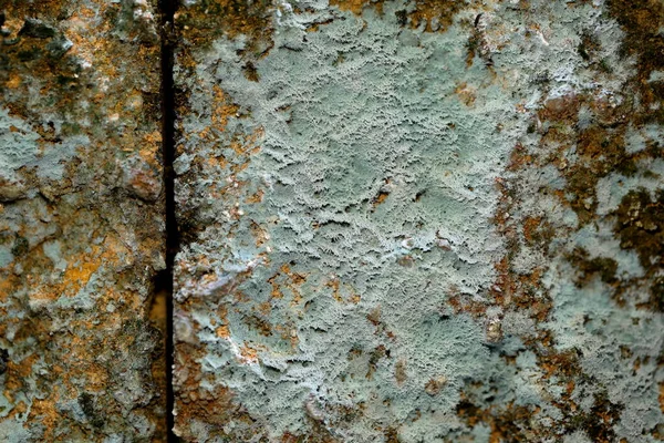 Closeup Old Brick Wall Lots Stains — Stock Photo, Image