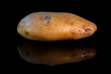Patates, koyu arka planda refleksle izole edilmiş.