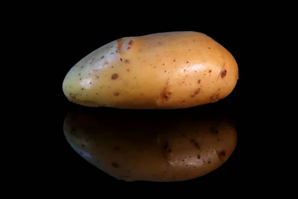 Pomme Terre Isolée Sur Fond Sombre Avec Réflexe — Photo