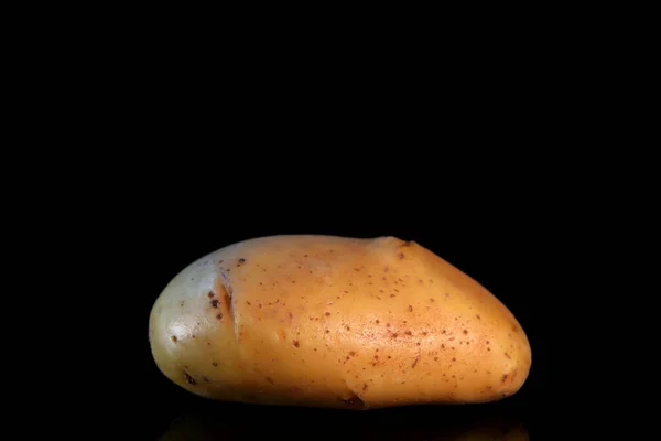 Potatis Isolerad Mörk Bakgrund — Stockfoto