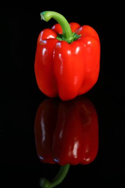 Tatlı kırmızı biber, refleksle koyu arka planda izole edilmiş.
