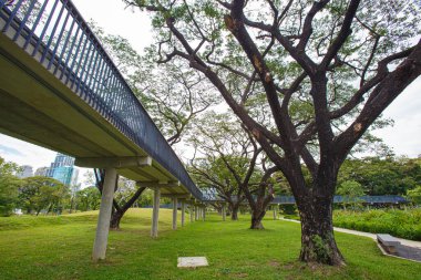 Güzel bir bahçeye ve büyük ağaçlara uzanan gökyüzü yürüyüşü