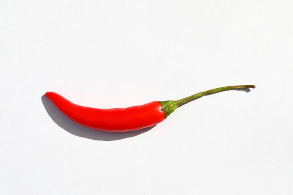 Closeup Red Hot Chilli Paprika Izolované Bílém Pozadí Stínem — Stock fotografie