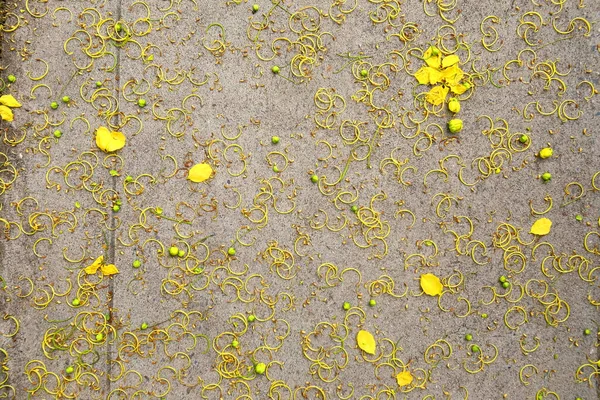 Stammarna Och Kronbladen Cassia Fistel Blommor Föll Till Marken — Stockfoto