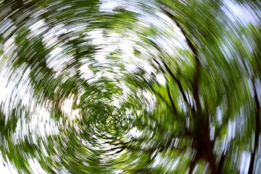 Kamerayı döndürerek doğanın fotoğraflarını çekme teknikleri.