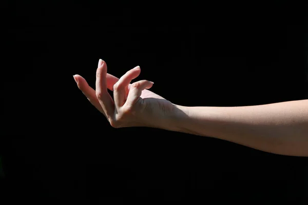 Girl Hands Show Various Gestures Black Background — Stok fotoğraf