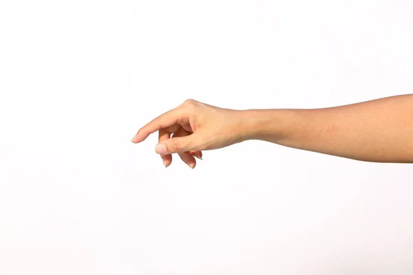 The girl's hands show various gestures on white background