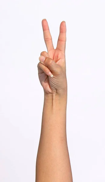 Girl Hands Show Various Gestures White Background — Stok fotoğraf