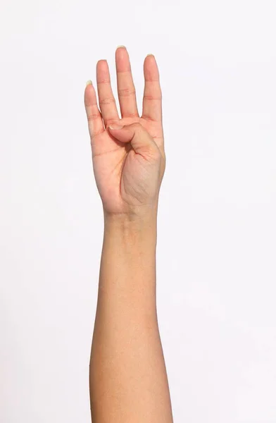 Girl Hands Show Various Gestures White Background — 图库照片