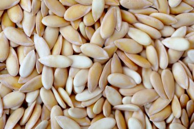 Yakın çekim kavun çekirdekleri yüksek açılı