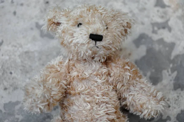 Closeup Brown Teddy Bear Cement Floor — Photo