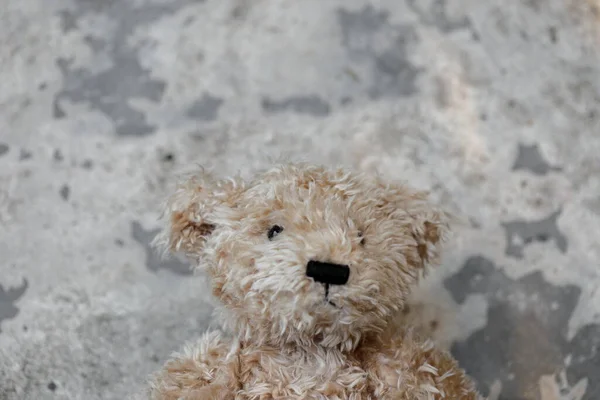 Closeup Brown Teddy Bear Cement Floor — Stockfoto