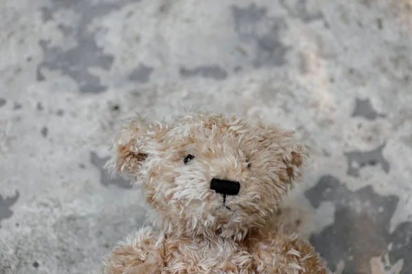 Closeup Brown teddy bear on cement floor