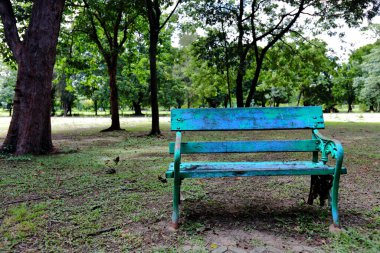 Gölgeli bahçede tek başına Yeşil Park bankında