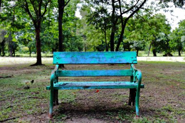 Gölgeli bahçede tek başına Yeşil Park bankında