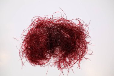 Corn silk of Siam Ruby Queen on white background