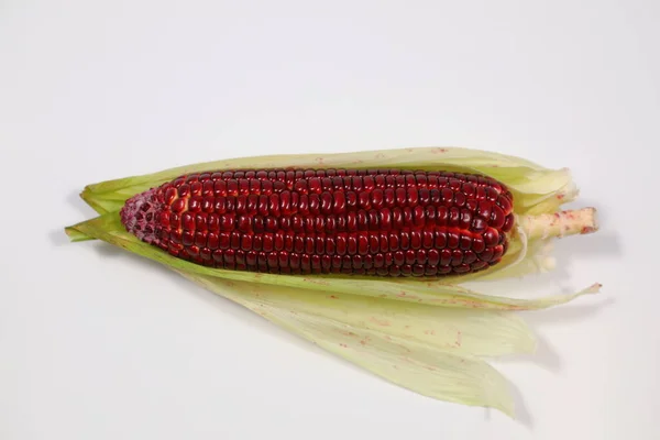 Siam Ruby Queen Corn Auf Weißem Hintergrund — Stockfoto