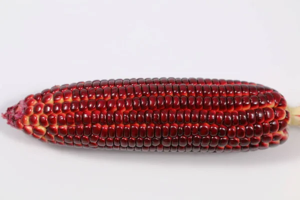 Siam Ruby Queen Corn White Background — стоковое фото