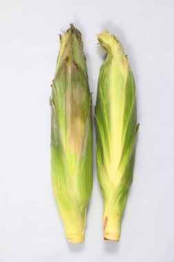 Beyaz arkaplanda beyaz Hokkaido Mısırı Soyulmamış