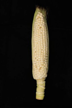 Beyaz Hokkaido Mısır ve siyah arkaplan üzerinde mısır ipeği