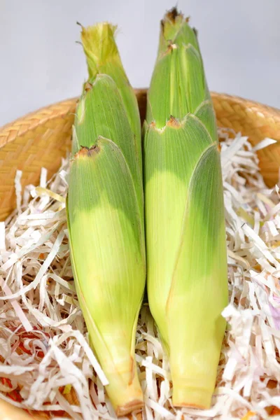 White Hokkaido Corn Basket Peeled — Zdjęcie stockowe