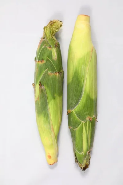 White Hokkaido Corn White Background Peeled — Stock Photo, Image