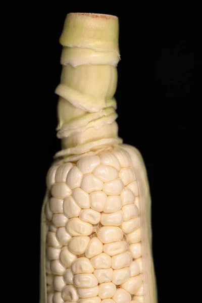 Close White Hokkaido Corn Corn Silk Black Background — стоковое фото