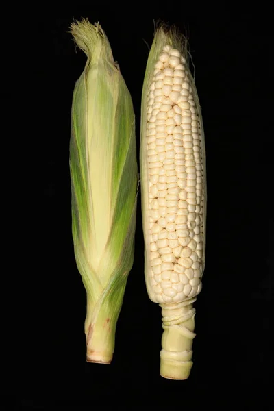 White Hokkaido Corn Black Background — Stockfoto