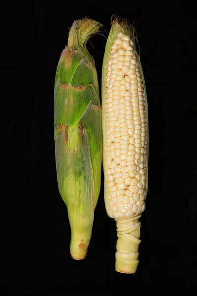 White Hokkaido Corn Black Background —  Fotos de Stock