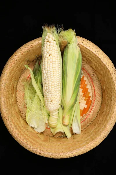 Pair White Hokkaido Corns Basket — Stok fotoğraf