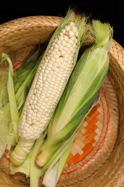 Close Pair White Hokkaido Corns Basket — ストック写真