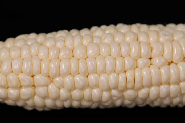 Closeup White Hokkaido Corn Black Background — стоковое фото