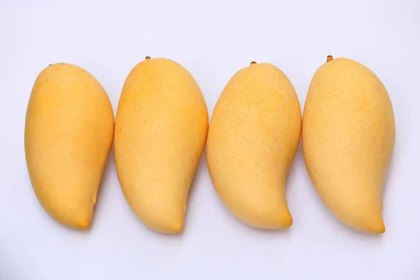 Mangifera Indica Mango White Background — стоковое фото