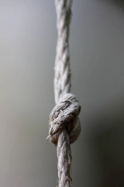 Knot Old Rope Twine Gray Background — Fotografia de Stock