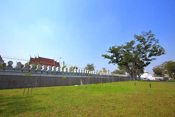 Big Trees Afternoon Lawns Public Park Bangkok — Stock Photo, Image