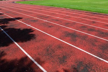 Athletics field and shadows from treesOutdoor athletics stadium constructed from synthetic rubber