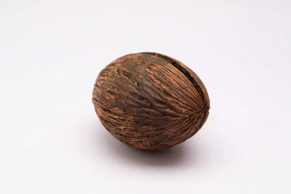 Cerbera Odollam Pong Pong Seed — Foto Stock