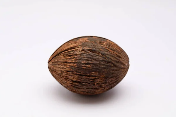 Cerbera Odollam Pong Pong Seed — Foto Stock